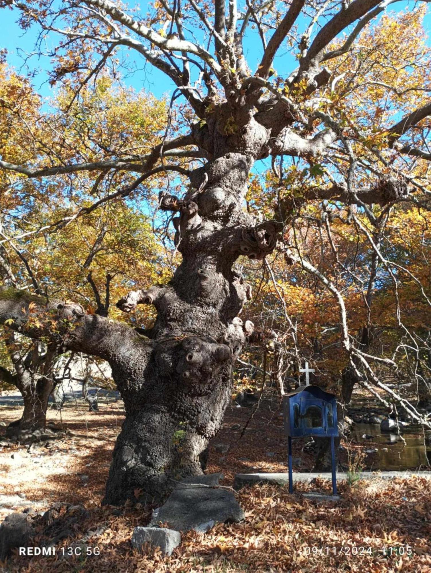 Sidirokastro Agapi'S House别墅 外观 照片